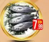 Tuna