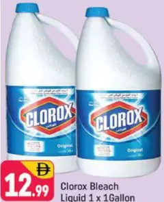 Clorox Bleach Liquid