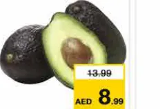 أفوكادو هاس كينيا