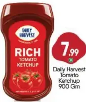Daily Harvest Tomato Ketchup
