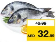 Seabream