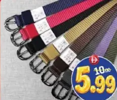Bin Belt