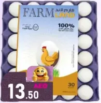 Farm Land بيض