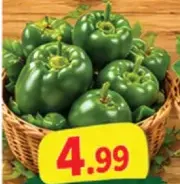 Capsicum