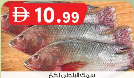 Tilapia per kg