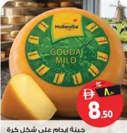 Hollandia Gouda Mild Cheese