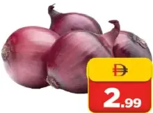 Onion Turkey