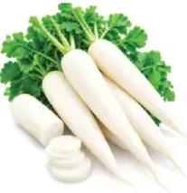 Radish Local(Mooli)