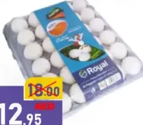 Royal Egg Medium