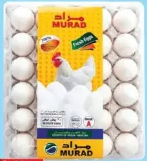 Murad بيض أبيض طازج متوسط الحجم