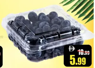 Blueberry