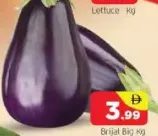 brinjal big
