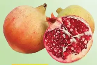 رمان يمني