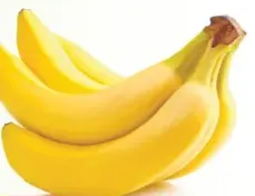 philippine banana