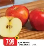 Apple Royal Gala Small