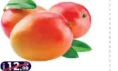 Mango Kenya