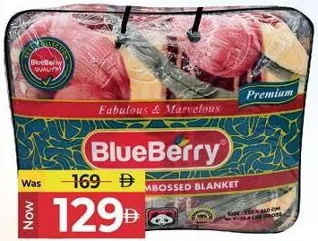 Blueberry Embossed Blanket Assorted