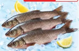 Fresh Rohu