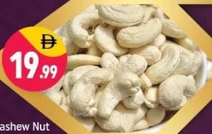 Cashew Nut 320