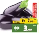 Egg Plant Large