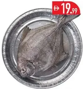 Black Pomfret Fish