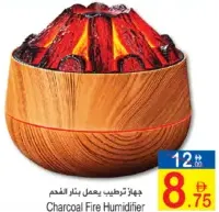 Charcoal Fire Humidifier