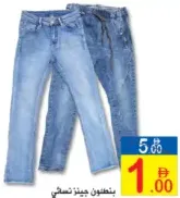 Ladies Jeans Pant Assorted