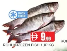 Rohu Frozen Fish 1Up