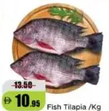 Fish-Tilapia