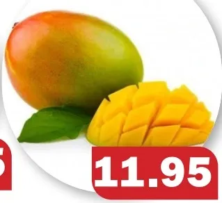 Mangos Egypt