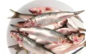 سمك سردين صغير