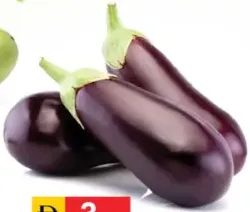 باذنجان كبير