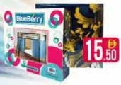 Blueberry Bunk Bed Curtain RB8469