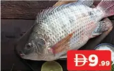 Thilapiya Fish