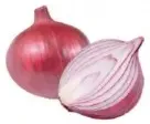 بصل هندي