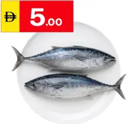 Tuna Fish