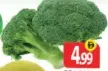 Broccoli