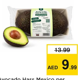 أفوكادو هاس مكسيكي