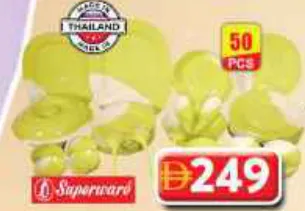 Superware Melamine Dinner Set