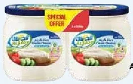 Al Safi ALSAFI BLUE جبنة برطمان 500GMX2PCS