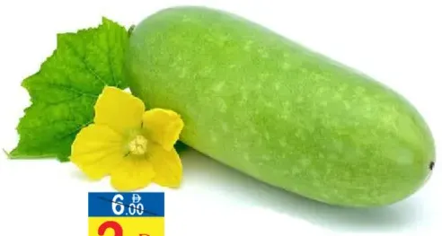 Ashgourd