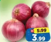 Onion Red India