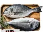 Fish Seabream