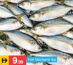 Fish Mackerel