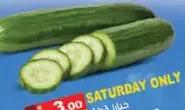 Cucumber