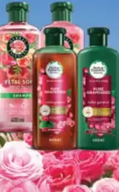 Herbal Essences شامبو غارنييه + بلسم متنوع