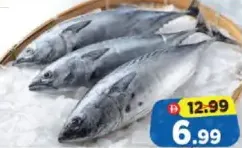 Tuna