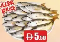 Naizar Fish