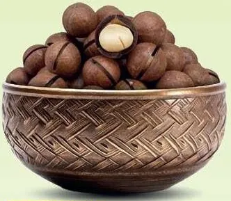 مكاديميا بالقشرة محمصة كبير