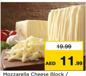 Mozzarella Cheese Block / Shredded